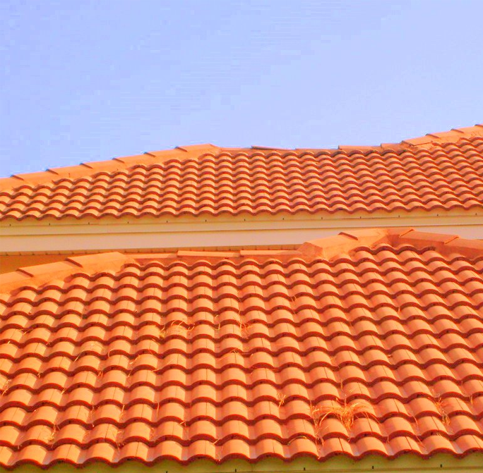 roof-tile-cleaning content img